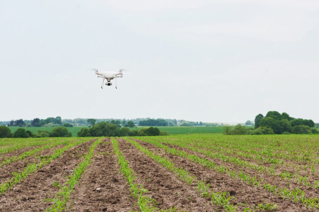 drone corn