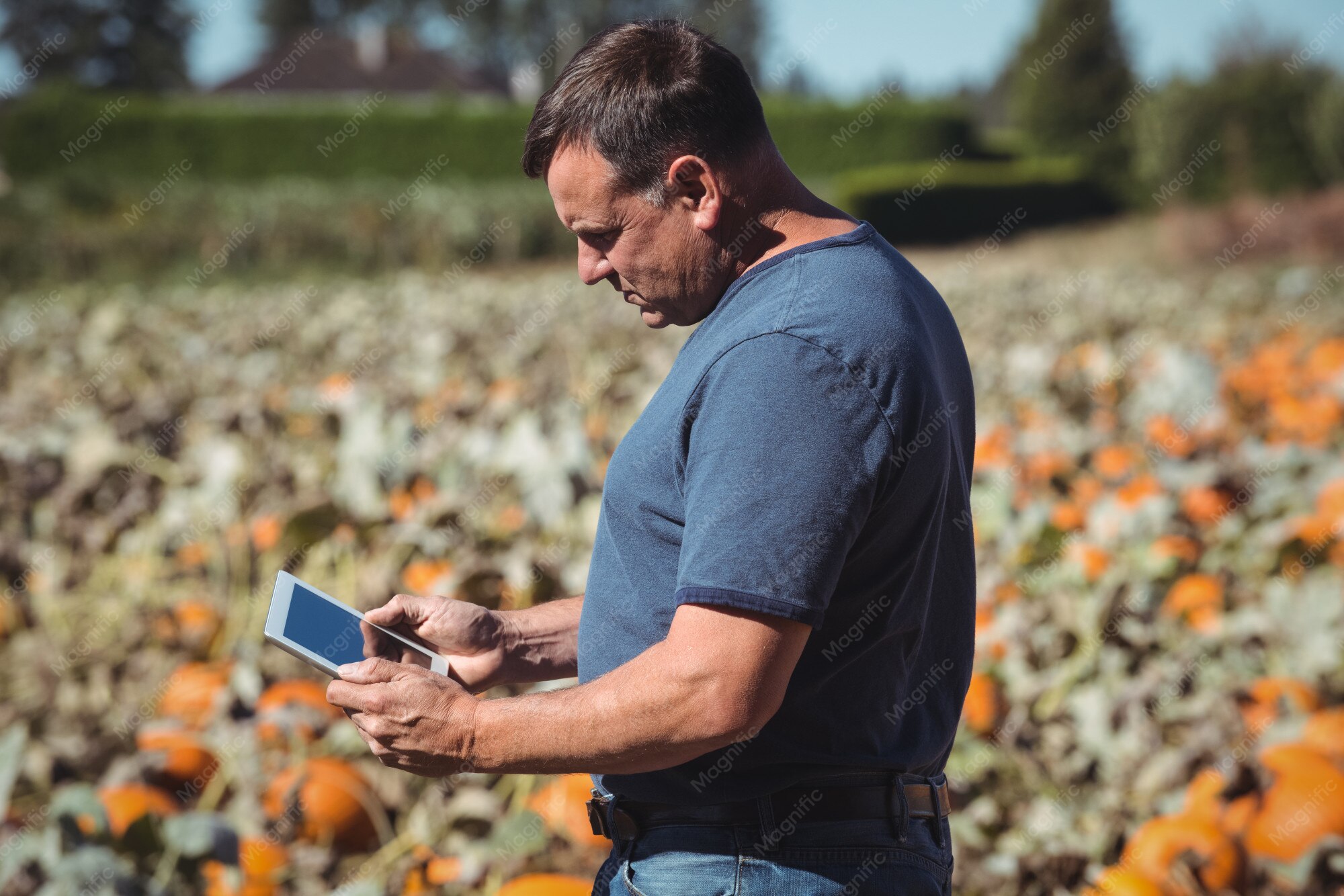 farmer tablet